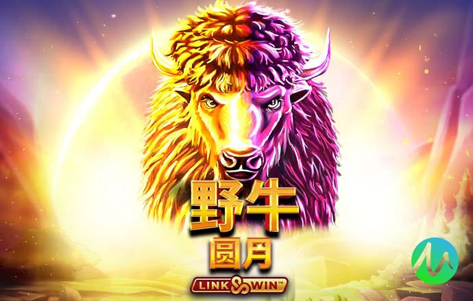 巴沙体育官网